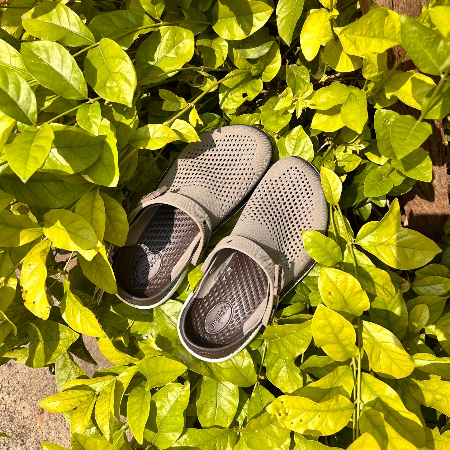 Literide - Cocoa Mist