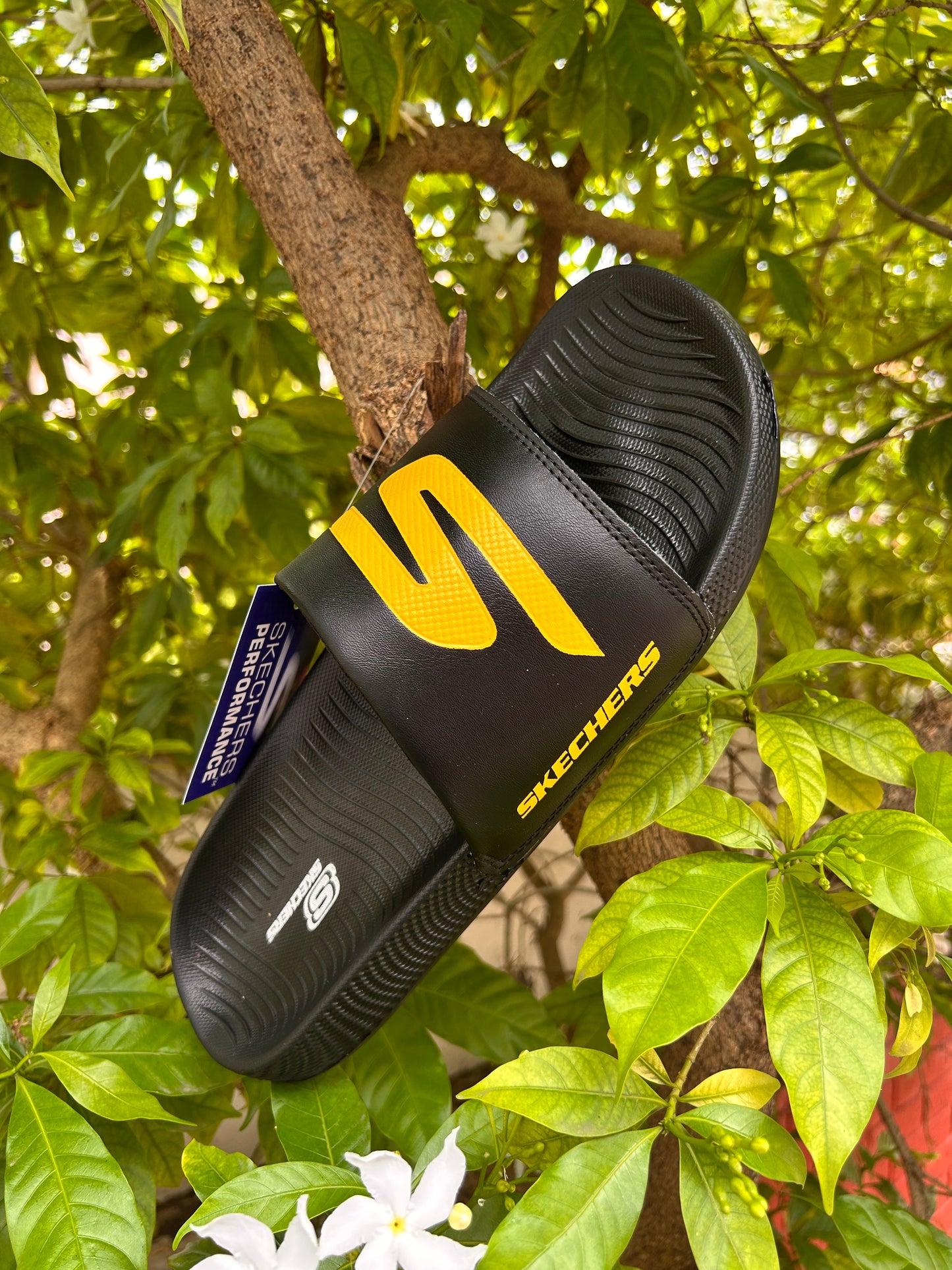 Skechers BlackFire - Performance Range