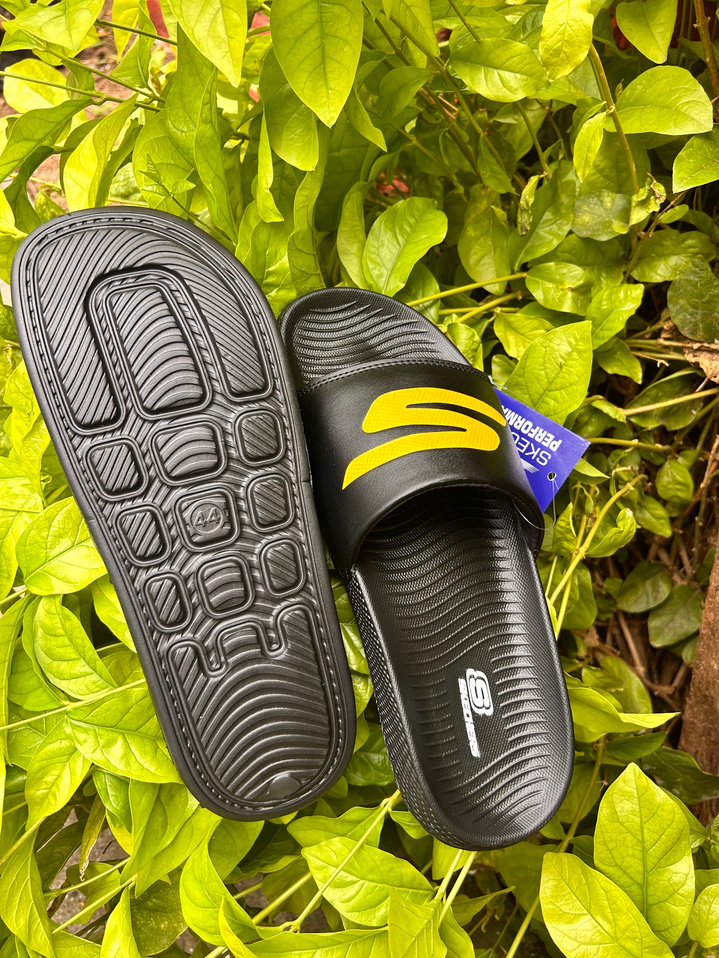 Skechers BlackFire - Performance Range