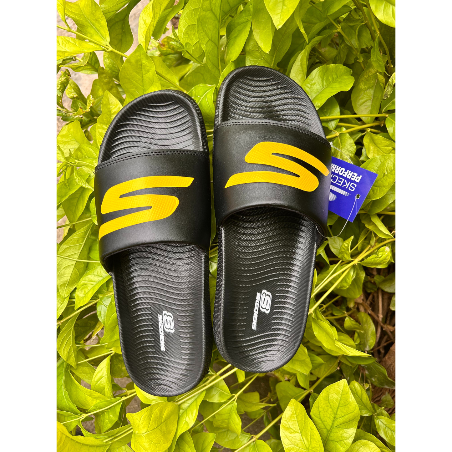 Skechers BlackFire - Performance Range